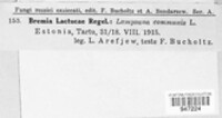 Bremia lactucae image